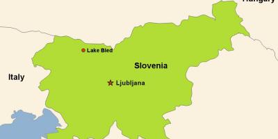 Karta u ljubljani Slovenija