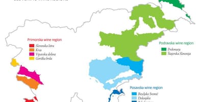 Mapa Slovenija vino